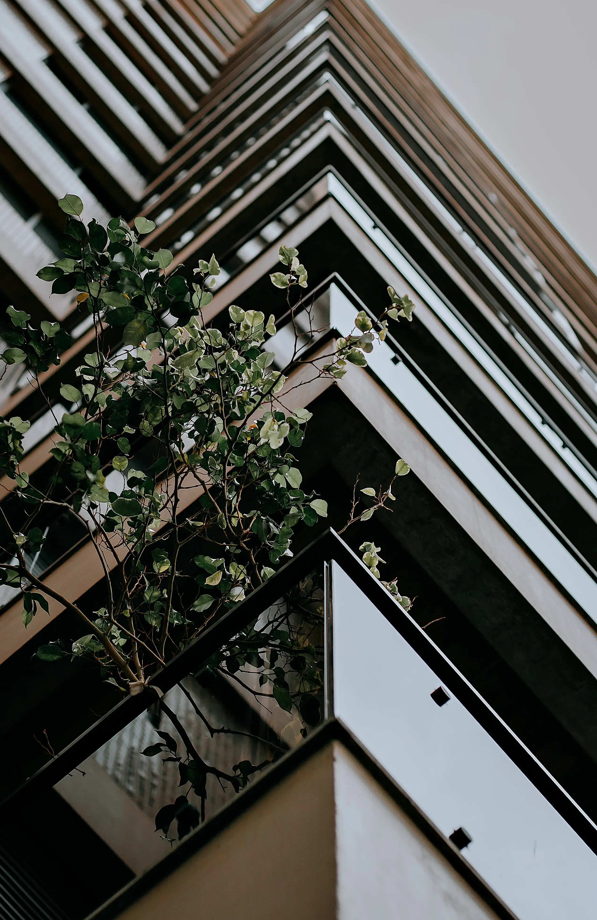 Hygex Property Services Cleaning & Maintenance